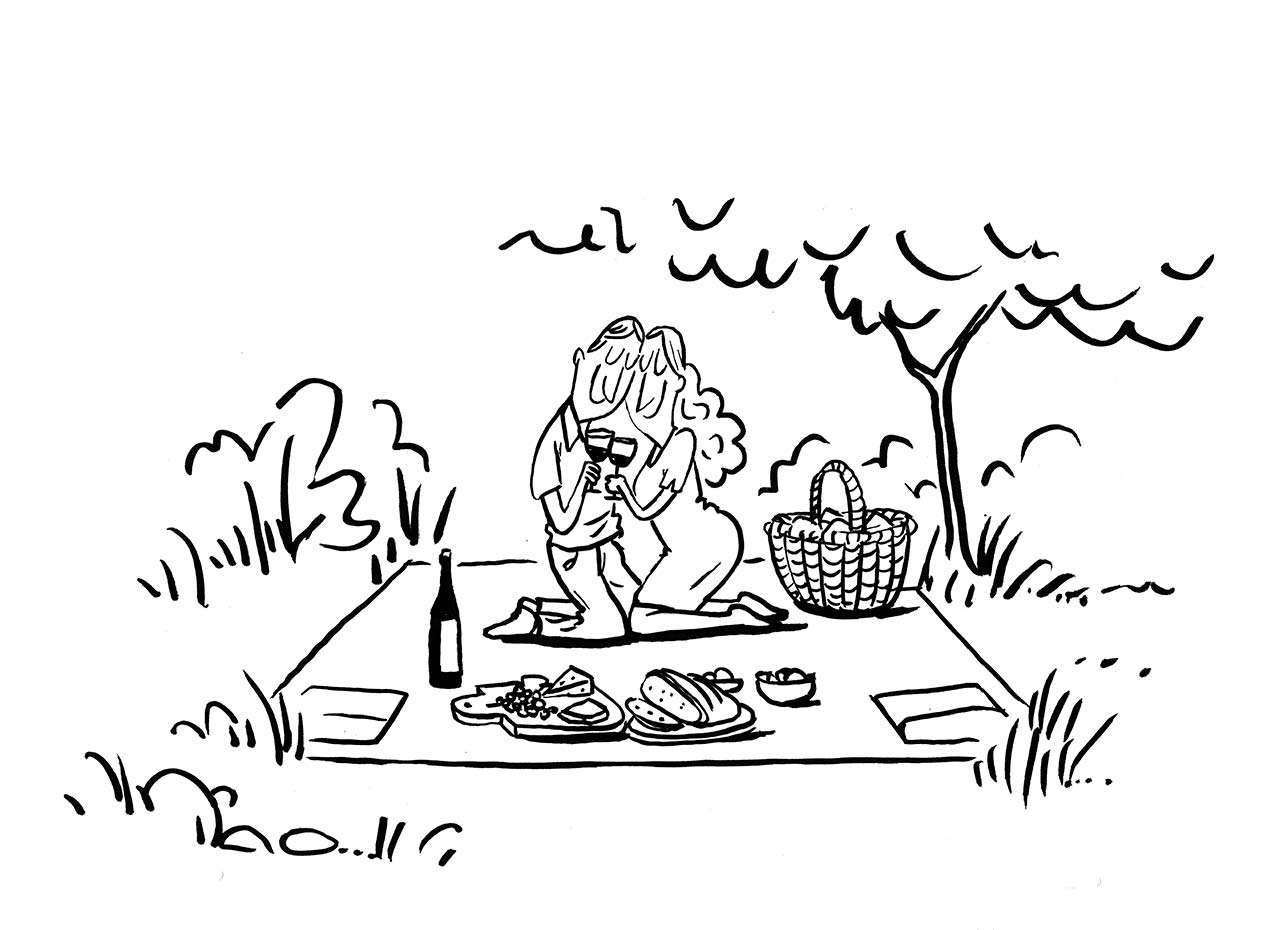 Suba Picnic-Makers Dinner 4.2 auf Deiner Picknickdecke