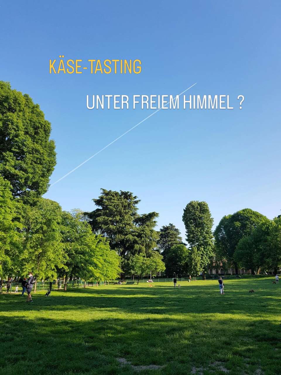 Suba Picnic-Makers Käse-Tasting im Jenischpark mit der Käsefüchsin & suba.picnic.makers. Sonntag, 20 September 2026