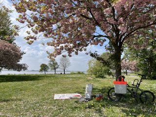 30. Mai 2026, HH-Jenischpark